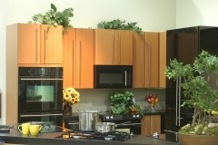 2006-11-ek-lynch-047