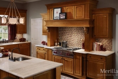 masterpc-fox-court-cherry-golden-lager